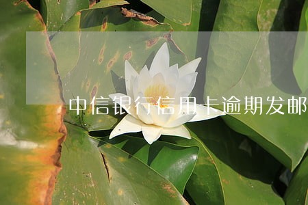 中信银行信用卡逾期发邮箱冻结 中信银行信用卡逾期发邮箱冻结