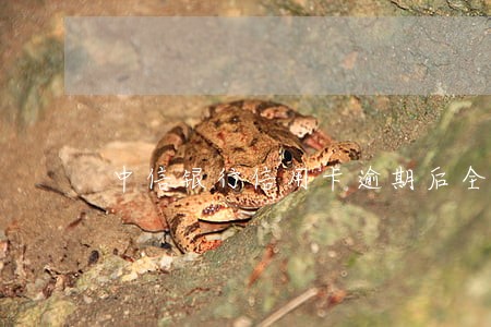 中信银行信用卡逾期后全额还清 中信银行信用卡逾期后全额还清