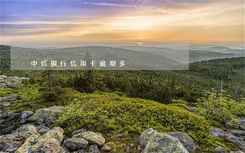 中信银行信用卡逾期多