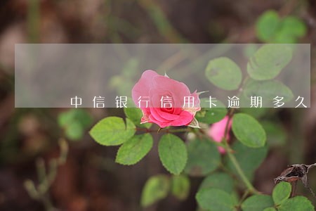 中信银行信用卡逾期多久会爆通讯
