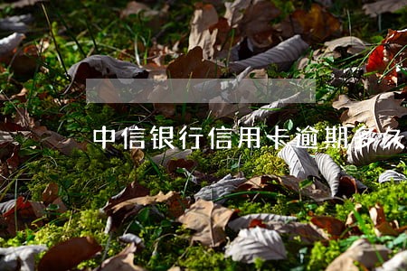 中信银行信用卡逾期多久进黑名单