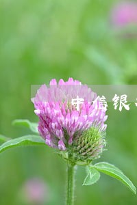 中信银行信用卡逾期已结清 中信银行信用卡逾期已结清