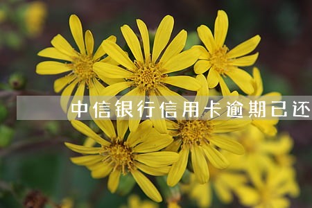 中信银行信用卡逾期已还款 中信银行信用卡逾期已还款