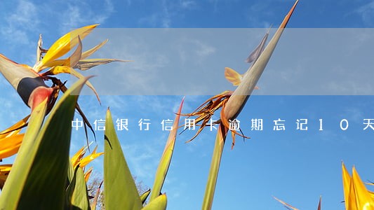 中信银行信用卡逾期忘记10天