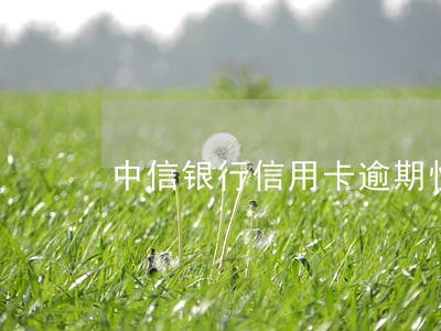 中信银行信用卡逾期快一年 中信银行信用卡逾期快一年