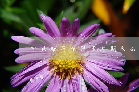 中信银行信用卡逾期怎么发短信 中信银行信用卡逾期怎么发短信