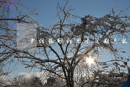 中信银行信用卡逾期怎么算