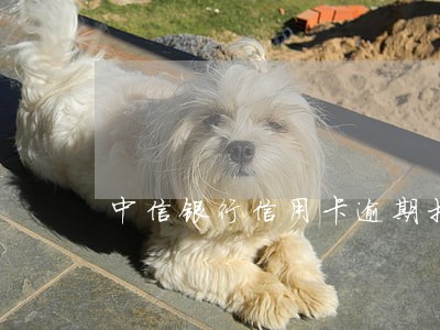 中信银行信用卡逾期打电话会怎样 中信银行信用卡逾期打电话会怎样