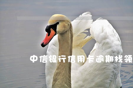 中信银行信用卡逾期找领导协商 中信银行信用卡逾期找领导协商