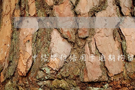 中信银行信用卡逾期拘留