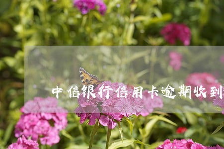 中信银行信用卡逾期收到短信 中信银行信用卡逾期收到短信
