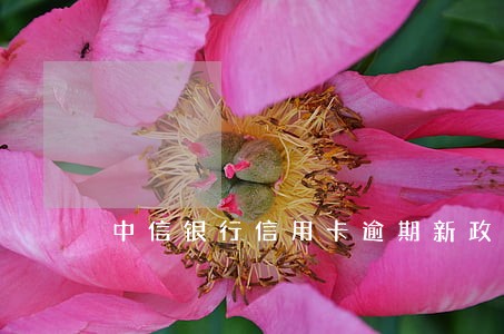 中信银行信用卡逾期新政 中信银行信用卡逾期新政