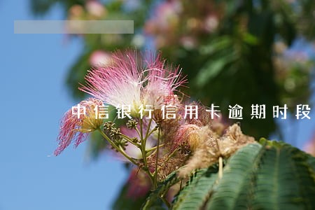 中信银行信用卡逾期时段 中信银行信用卡逾期时段