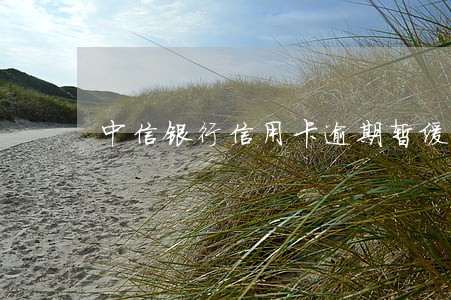 中信银行信用卡逾期暂缓出行 中信银行信用卡逾期暂缓出行