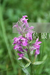 中信银行信用卡逾期暴力催收 中信银行信用卡逾期暴力催收