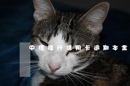 中信银行信用卡逾期本金怎么算 中信银行信用卡逾期本金怎么算