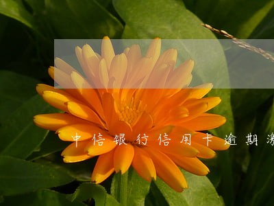 中信银行信用卡逾期激活