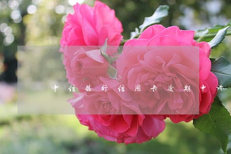 中信银行信用卡逾期申诉程序 中信银行信用卡逾期申诉程序