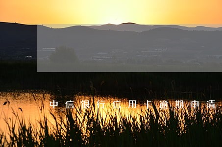 中信银行信用卡逾期申请解冻 中信银行信用卡逾期申请解冻