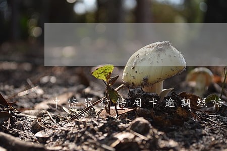 中信银行信用卡逾期短信模板