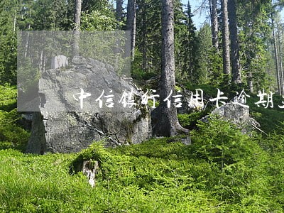 中信银行信用卡逾期立案审查