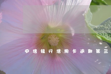 中信银行信用卡逾期第三方上门 中信银行信用卡逾期第三方上门