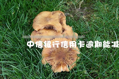 中信银行信用卡逾期能减免本金吗 中信银行信用卡逾期能减免本金吗