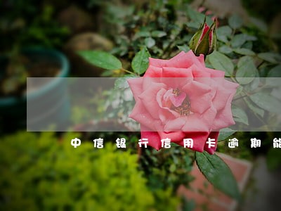 中信银行信用卡逾期能协商吗 中信银行信用卡逾期能协商吗