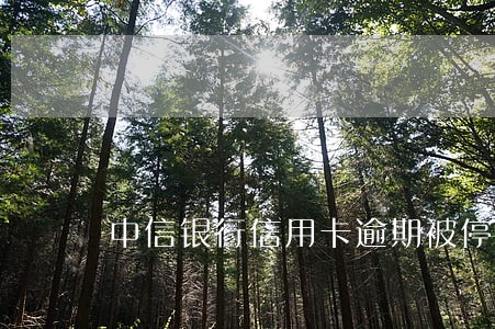 中信银行信用卡逾期被停 中信银行信用卡逾期被停