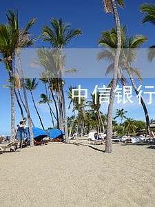 中信银行信用卡逾期被冻结 中信银行信用卡逾期被冻结