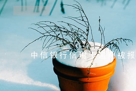中信银行信用卡逾期被报警了 中信银行信用卡逾期被报警了