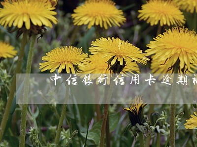 中信银行信用卡逾期被移交怎么办