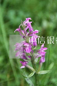 中信银行信用卡逾期计算公式 中信银行信用卡逾期计算公式