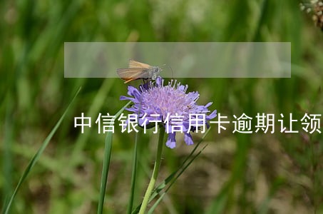中信银行信用卡逾期让领报案材料
