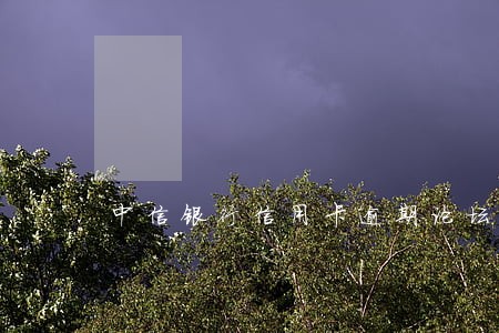 中信银行信用卡逾期论坛 中信银行信用卡逾期论坛