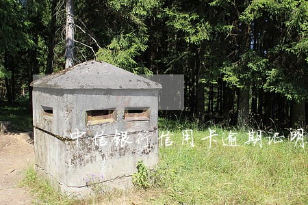 中信银行信用卡逾期证明模板 中信银行信用卡逾期证明模板