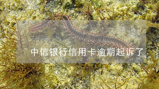 中信银行信用卡逾期起诉了 中信银行信用卡逾期起诉了