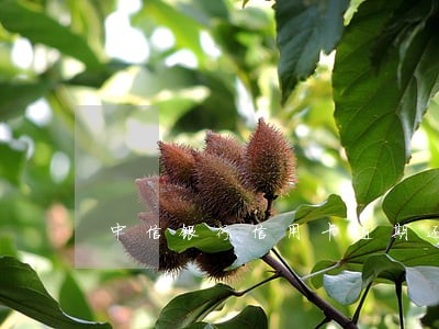中信银行信用卡逾期还上 中信银行信用卡逾期还上