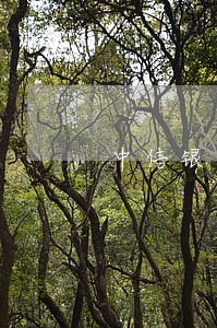 中信银行信用卡逾期还几百 中信银行信用卡逾期还几百