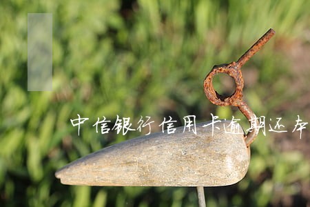 中信银行信用卡逾期还本不还息 中信银行信用卡逾期还本不还息