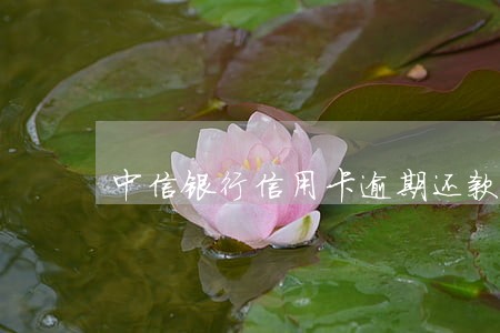 中信银行信用卡逾期还款要还吗 中信银行信用卡逾期还款要还吗