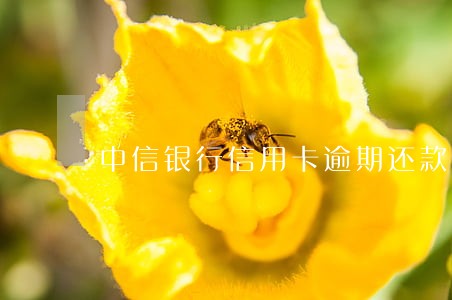 中信银行信用卡逾期还款顺序 中信银行信用卡逾期还款顺序