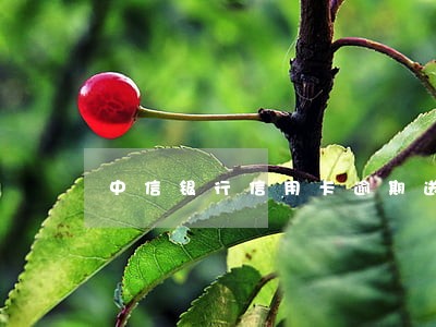 中信银行信用卡逾期送函件 中信银行信用卡逾期送函件