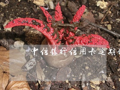 中信银行信用卡逾期锁卡 中信银行信用卡逾期锁卡