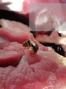 中信银行信用卡销逾期 中信银行信用卡销逾期