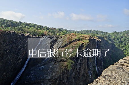 中信银行停卡逾期了 中信银行停卡逾期了