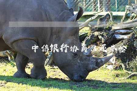 中信银行协商只还本金 中信银行协商只还本金