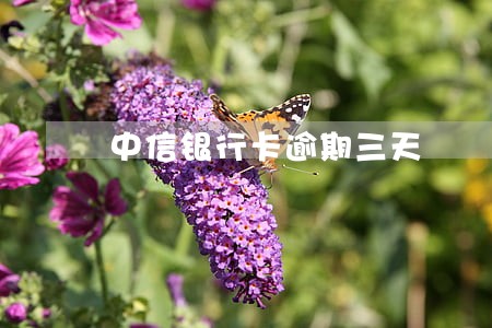 中信银行卡逾期三天 中信银行卡逾期三天