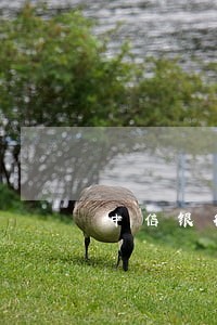 中信银行卡逾期几天 中信银行卡逾期几天
