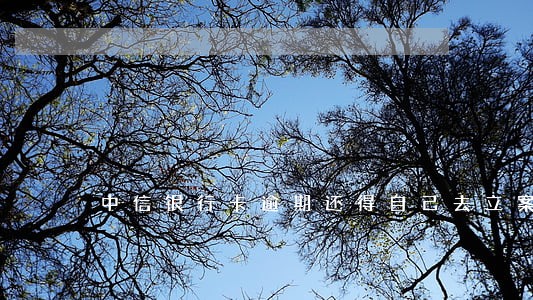 中信银行卡逾期还得自己去立案 中信银行卡逾期还得自己去立案